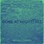 Rose at Nightfall