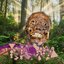 Jungle Life Is The Life For Me