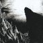 Darkened by an Occult Wisdom
