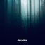 Into Nothing