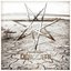 Desolate - Single