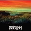 Live at the Gorge 05/06 Disc 7