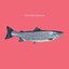 Fisch EP