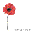 Lest We Forget