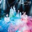 自業自得 (Special Edition)