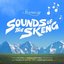 Sounds of the Skeng - Single