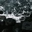 Stream
