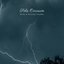 Birds & Passing Thunder