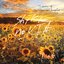 Shiki No Uta (Tribute to Samurai Champloo) - Single