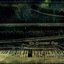 Piano & Stump