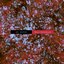 Solitude (Felsmann + Tiley Reinterpretation) - Single