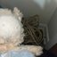 oh look at that fifty feet of rope in my closet