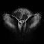 Intension