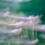 Soft Touch