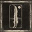 Wolfnacht / Goatmoon / Thy Serpent