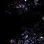 Myriad - Single