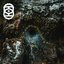 Helminth