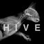 Hive
