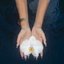 orchids (lullabies) [Clean] [Clean]