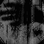 Avatar for wake_up_dreamer