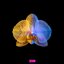 My mind