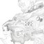 Big Gold Belt
