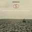 With Our Heads in the Clouds and Our Hearts in the Fields