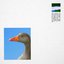Daylighter - Single