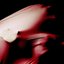 Red Herring