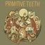 Primitive Teeth