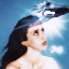 Imaginal Disk