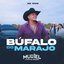 Búfalo Do Marajó - Ao Vivo