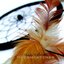 Dreamcatcher