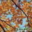 Seasons - Single