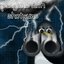 Flight of the Wounded Penguin