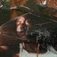 Track 3 [Explicit]