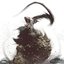 The Fly - Single