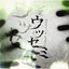 Utsusemi  ウツセミ
