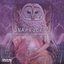 Shamanic Frequencies