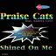 Shined on Me