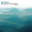 History of the Future, Pt. 2