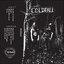 Coldfall