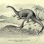 brontosaurus