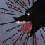 No one knows who has been to this world