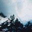 Oliver - Single