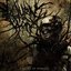 Ravage of Humanity