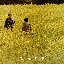 靈魂相願