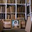 Forever Is A Feeling: The Archives