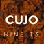 Nine T3