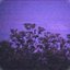 nocturne